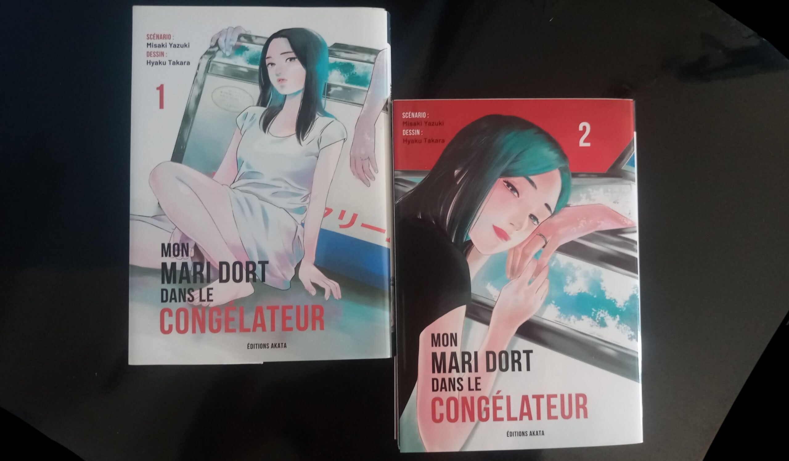 Conheça “Mon mari dort dans le congélateur” (Watashi no Otto wa